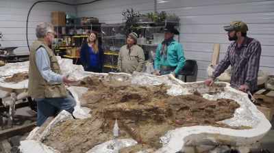 NANOTYRANNUSES DIP DOWN
SUBSTANTIALLY. - Dino Hunters