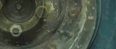 [Naoki] Every single thing
has its own unique beauty. - The Reason I Jump