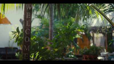 Naomi's Garden
was founded by my parents - Street Food: USA