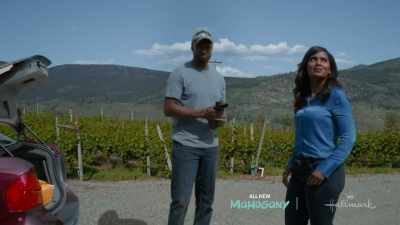Napa is vast in acreage, - Napa Ever After