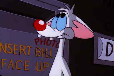 NARF! - Pinky and the Brain