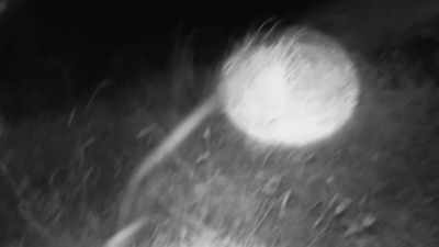 [narrator]  13 miles
 from Bryce's position, - Expedition Bigfoot