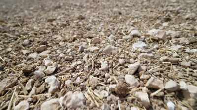 [narrator] A drought
lasting a year or two, - Ancient Armageddon