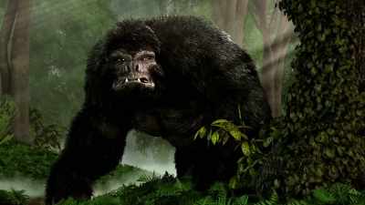 [narrator]  According to
 eyewitness reports, - Expedition Bigfoot