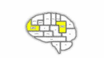 [narrator] After all, our sense of self - The Mind, Explained