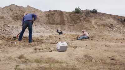 Narrator: AFTER SEVERAL DAYS
OF DIGGING ON A DUCKBILL SITE, - Dino Hunters