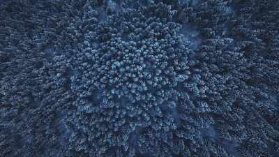 NARRATOR:
And a sense
of growing isolation - Extraordinary: The Seeding