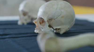 [narrator] And bodies
have also been found - Ancient Armageddon