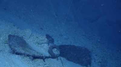  Narrator: And so far, bob has
 been doing his best to avoid
 its disintegrating remains. - Expedition Amelia