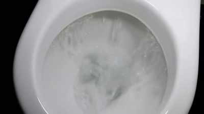 Narrator: And how do toilets
make the city rich? - Searching for Secrets