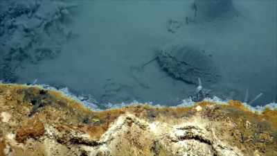 Narrator: AND SEA CREATURES
FACE AN AGONIZING DEATH - Strange Evidence