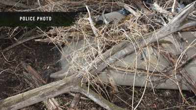 NARRATOR:
And the discovery that even - Buried In The Backyard