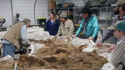 Narrator: AND WITH ONLY ABOUT
FIVE SPECIMENS ON THE BOOKS, - Dino Hunters