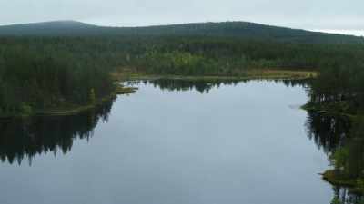NARRATOR:
Around three quarters of Finland is woods. - Wild Nordic