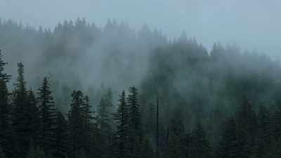 [narrator] As they
search for Rachanda, - Lost Women of Highway 20