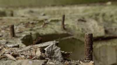 Narrator: At dag bromberg,
the soviets took everything. - Secret Nazi Ruins