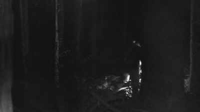 [narrator]  Back
 in the target zone, - Expedition Bigfoot