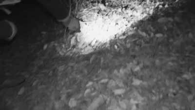 [narrator]
 Back in the target zone, - Expedition Bigfoot