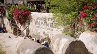 NARRATOR:
Back over at the Harambe Wildlife Reserve, - Magic of Disney's Animal Kingdom