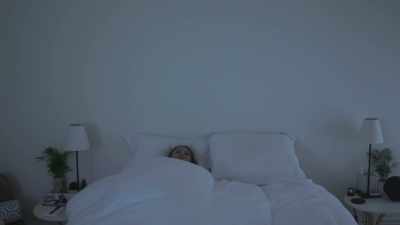 [narrator] Before we fall asleep, - The Mind, Explained