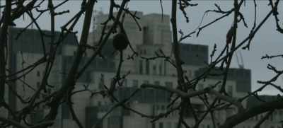 - [Narrator] But BCCI
had not just collaborated - The Spider's Web: Britain's Second Empire