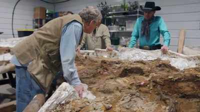 Narrator: BUT MANY SCIENTISTS
DISMISS NANOS - Dino Hunters