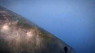NARRATOR: But sometimes they
attack people by mistake. - Shark Attack Files