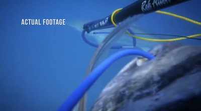 NARRATOR: But the
shark doesn't go away. - Shark Attack Files