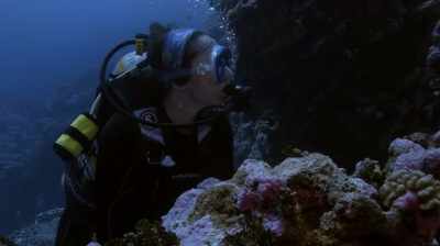 Narrator: But though
nikumaroro's reef is protected
and teeming with life, - Expedition Amelia