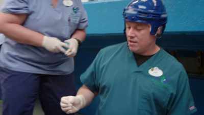 NARRATOR: ...can be a messy job. - Magic of Disney's Animal Kingdom