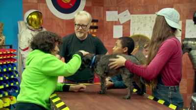 Narrator: CLAUSE IS THE LATEST
IN A LONG LINE - Mythbusters Jr.