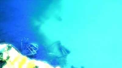 Narrator: COMING UP, A
MASSACRE BENEATH THE WAVES... - Strange Evidence