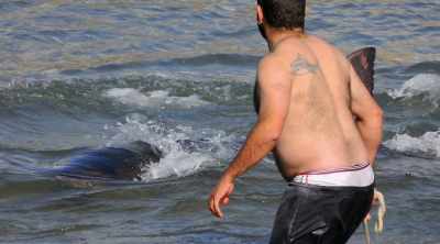 NARRATOR: Could this shark
have something in common with - Shark Attack Files