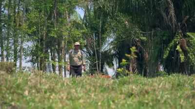 Narrator:
DEEP IN THE AMAZON JUNGLE, - Lost Cities of the Amazon