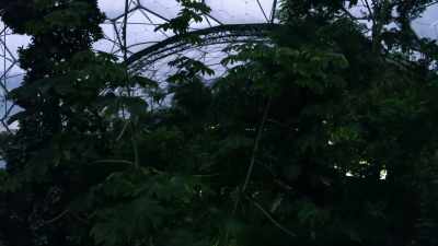 NARRATOR:
Designers created the Eden Project - Europe From Above