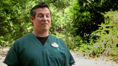 NARRATOR: ...Dr. Dan gets ready
to solve the mystery. - Magic of Disney's Animal Kingdom