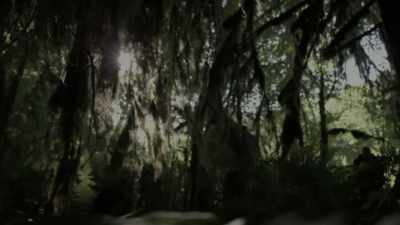[narrator]
 During their investigation
 into the forests - Expedition Bigfoot