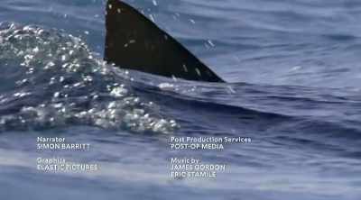 NARRATOR: Even at Myrtle Beach, - Shark Attack Files