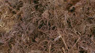 [narrator]
Even though it's organic matter, - Human: The World Within