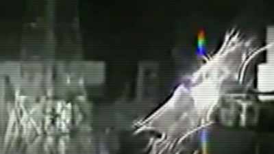 Narrator: EXPERTS INVESTIGATE IF A
CAMERA HAS CAPTURED A MUTANT ENTITY - Strange Evidence