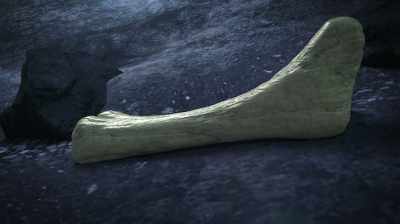 Narrator:
EXPOSED BONES ARE AT RISK
BECAUSE FRACTURES WILL FILL - Dino Hunters