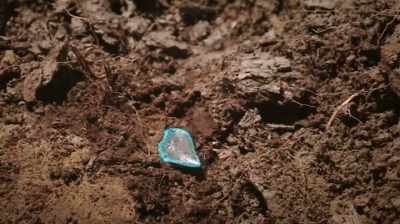 Narrator:
FINDING IT TOOTH IS SIGNIFICANT - Dino Hunters