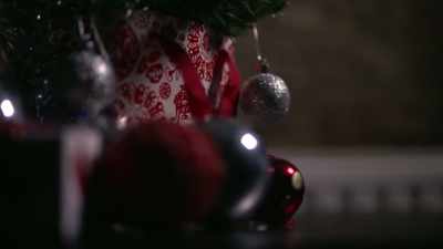 [narrator] Five days before celebrating
Christmas with her family, - When Missing Turns to Murder