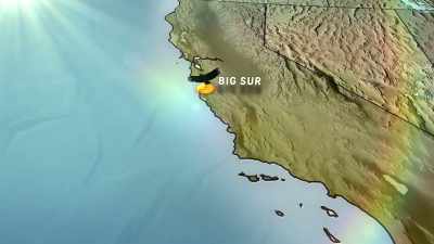 NARRATOR:
For more fun in the California sun, - United States of Animals