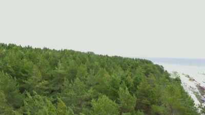 [narrator] For the Soviets,
the islands dense forest - Mysteries of the Abandoned