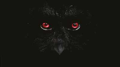 - [Narrator] For when you stare
long enough into the abyss, - Secrets of the Sasquatch