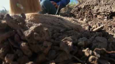Narrator: FOSSILS CAN BE
EXTREMELY FRAGILE, - Dino Hunters
