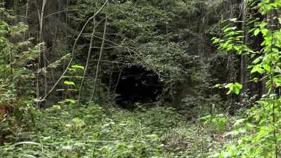 [narrator]
 Four and a half miles away, - Expedition Bigfoot