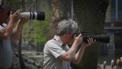 NARRATOR: Here's a pro tip
for all you shutterbugs - United States of Animals