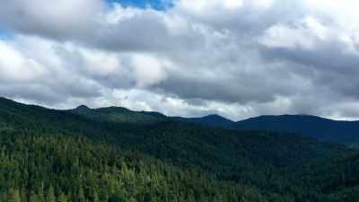 [narrator]  humboldt county
alone has had over - Expedition Bigfoot